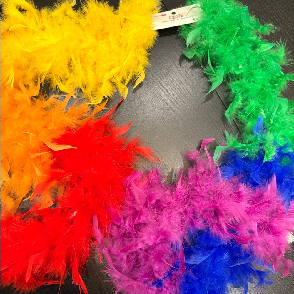 Celebrate It Rainbow Feather Boa